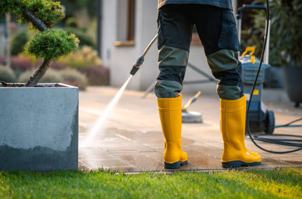 Best Pressure Washing Company Near Me  in Rehoboth Beach, DE